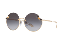 BVLGARI 0BV6124 278/8G