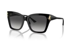 JIMMY CHOO 0JC5012 50008G